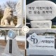 간판석/ 교훈석(표지석, 머릿돌)
